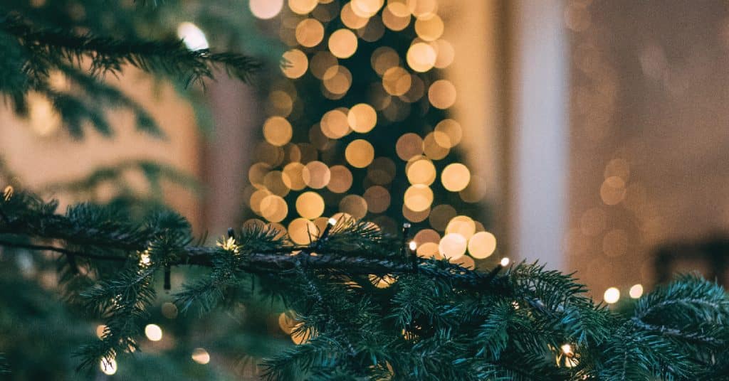 4 Quick Tips for Safe Christmas Lights 1 Outdoor Christmas lights